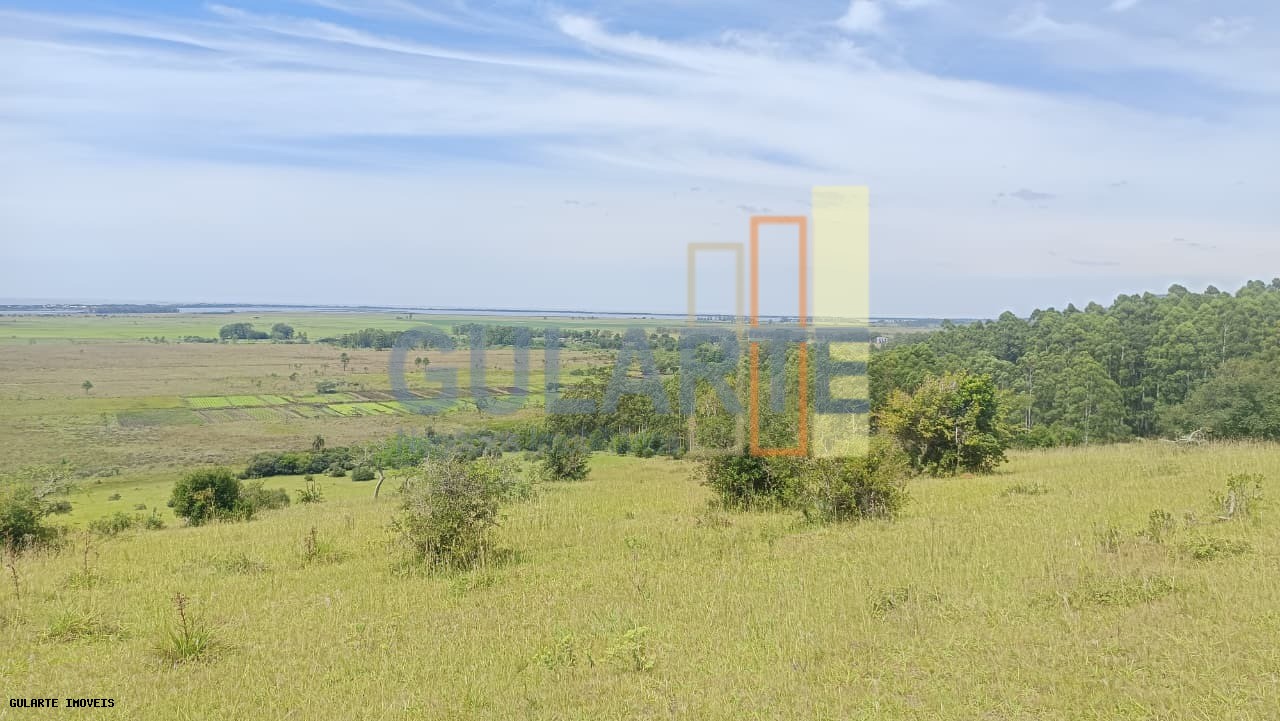 Chácara, 598 hectares - Foto 1