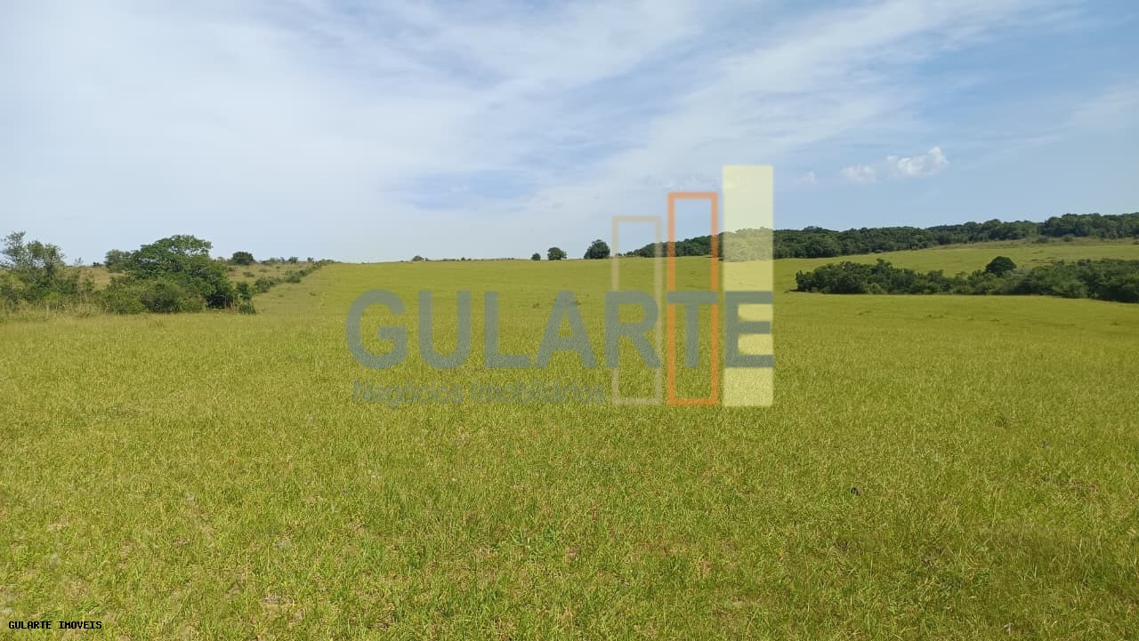 Chácara, 598 hectares - Foto 14