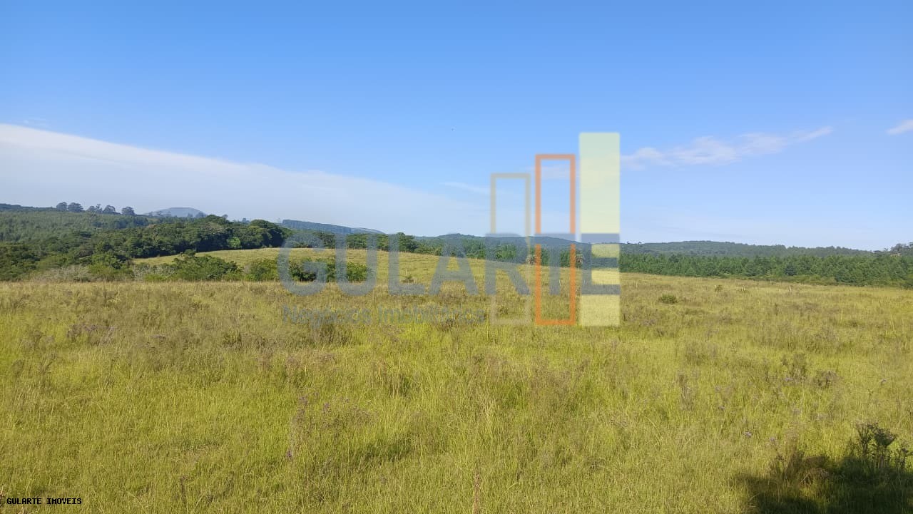 Chácara, 598 hectares - Foto 12