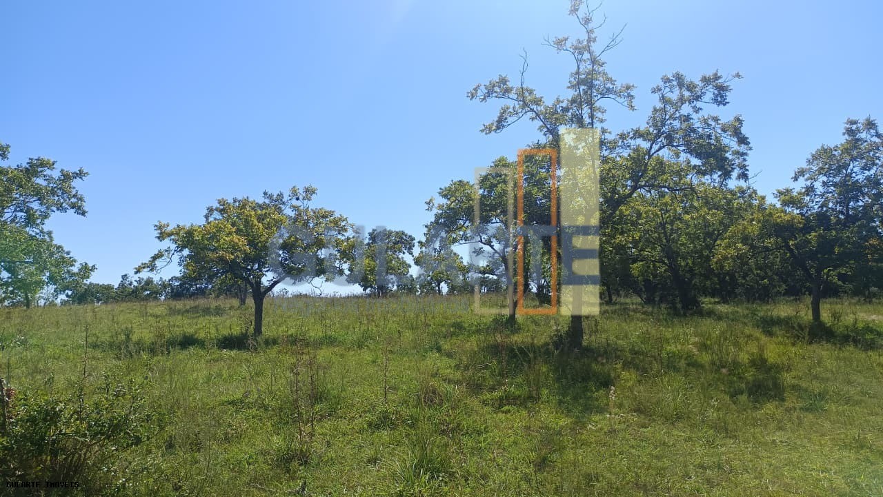 Chácara, 598 hectares - Foto 15