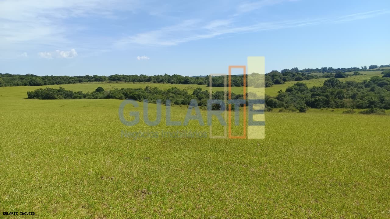 Chácara, 598 hectares - Foto 13