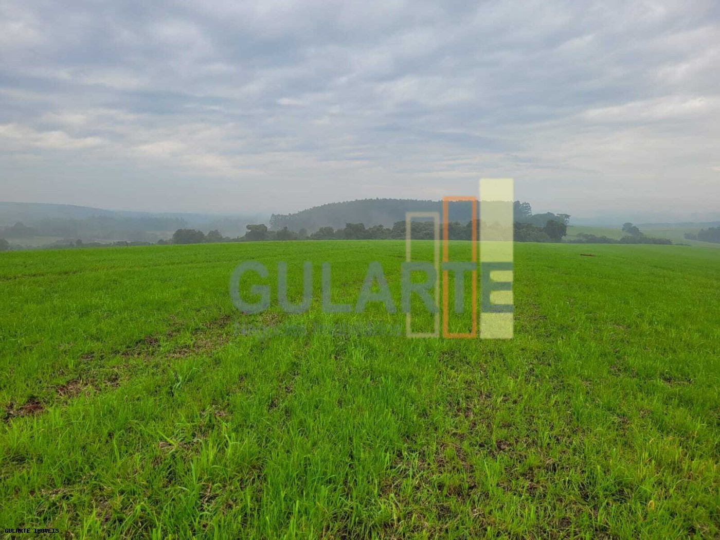 Fazenda, 392 hectares - Foto 2