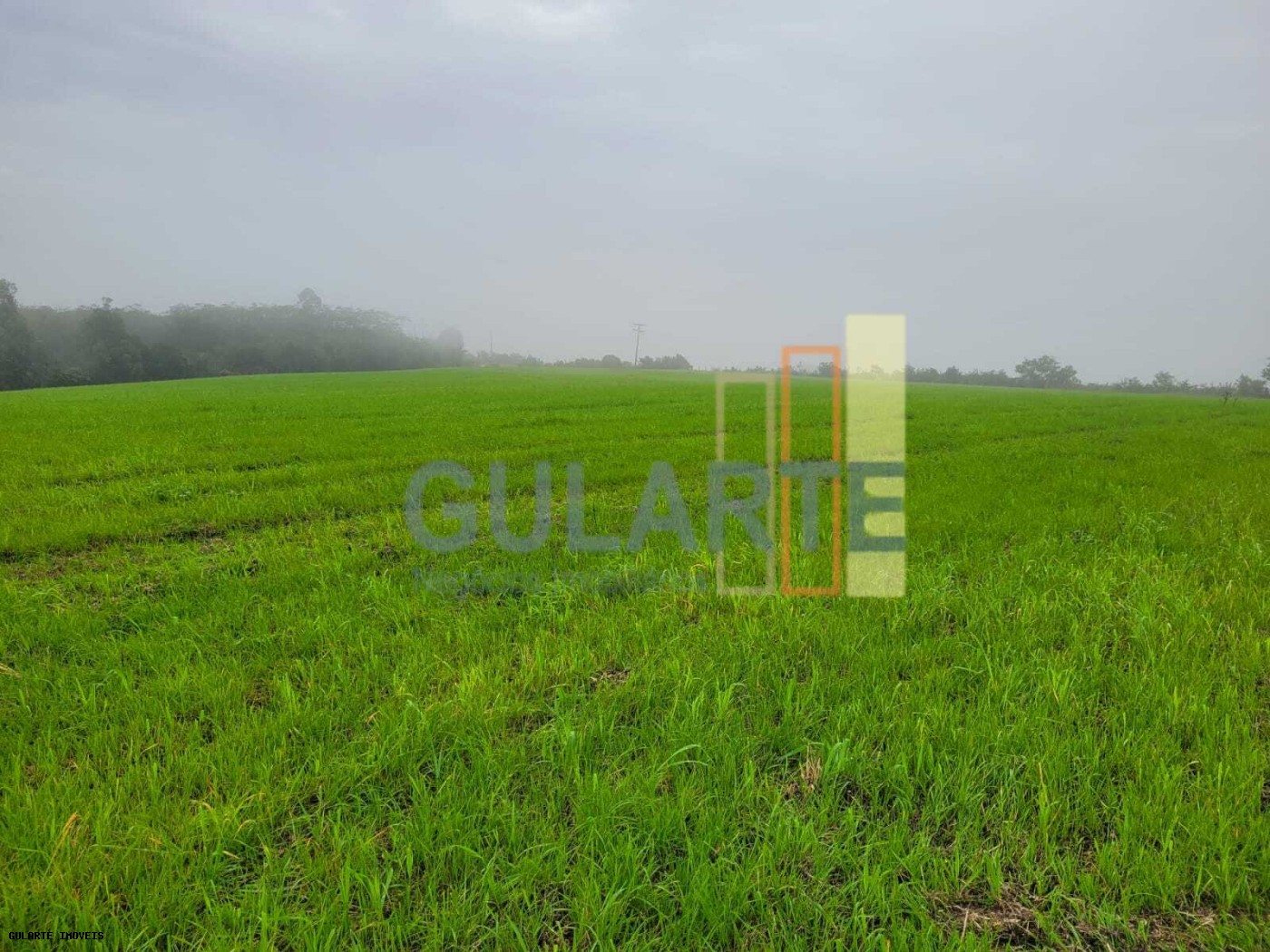 Fazenda, 392 hectares - Foto 4