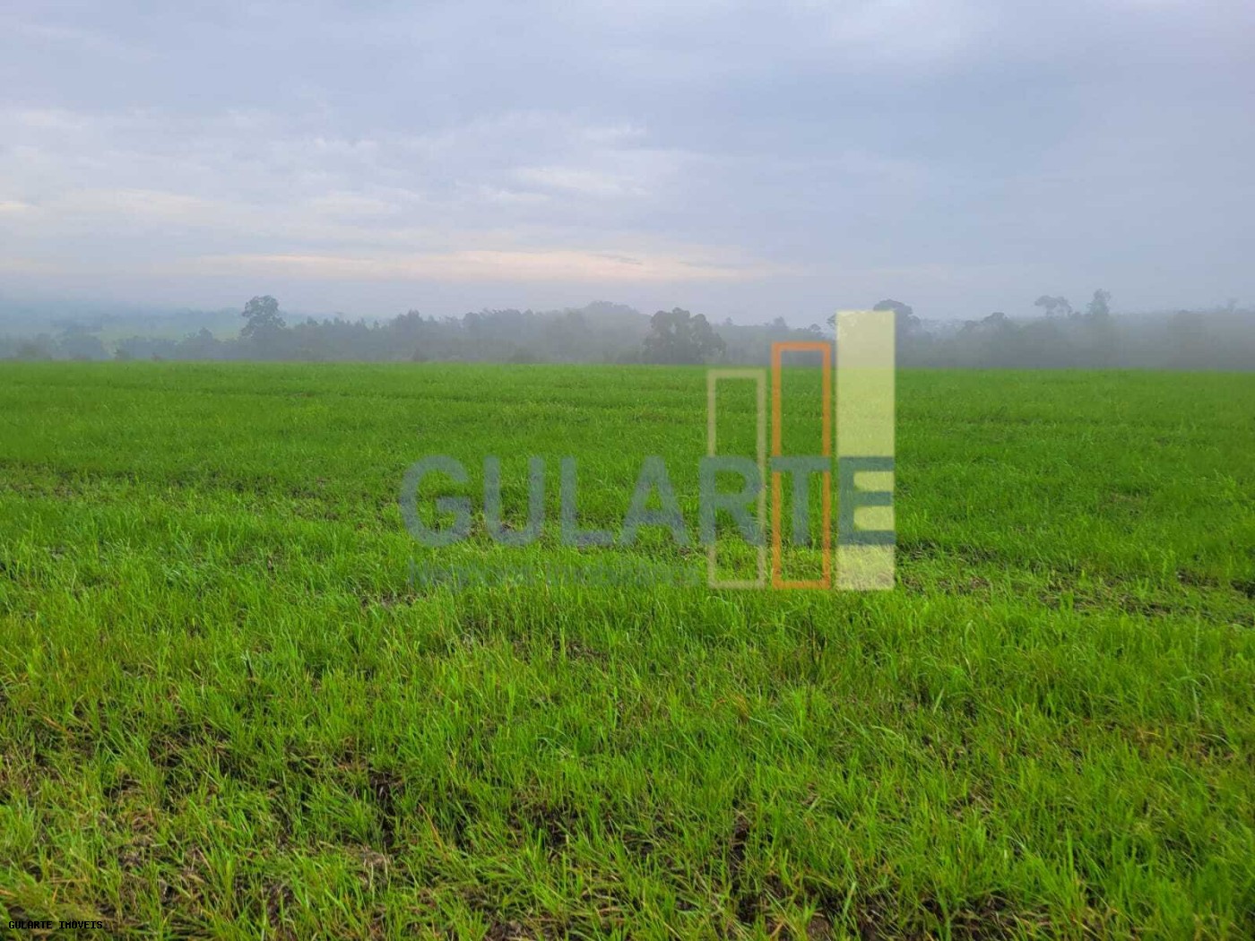 Fazenda, 392 hectares - Foto 7