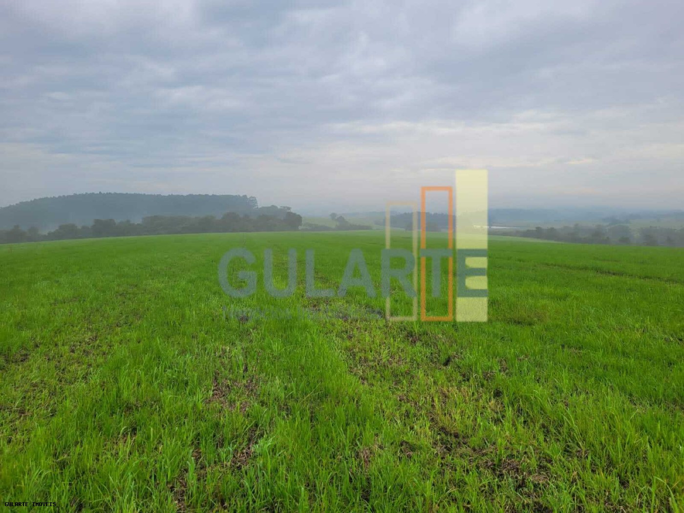 Fazenda, 392 hectares - Foto 6