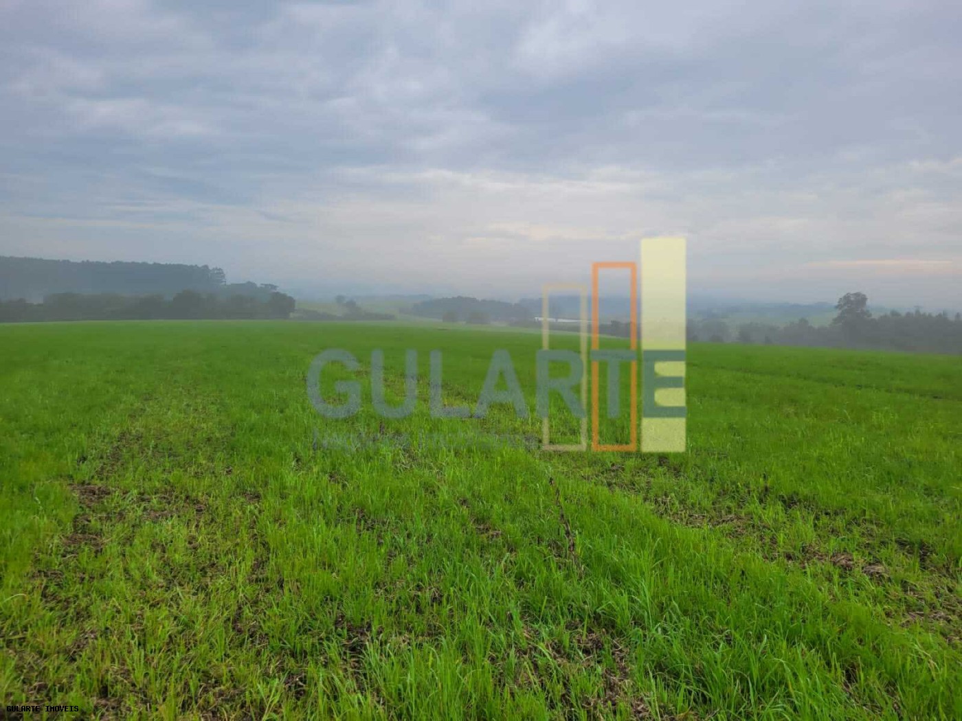 Fazenda, 392 hectares - Foto 11