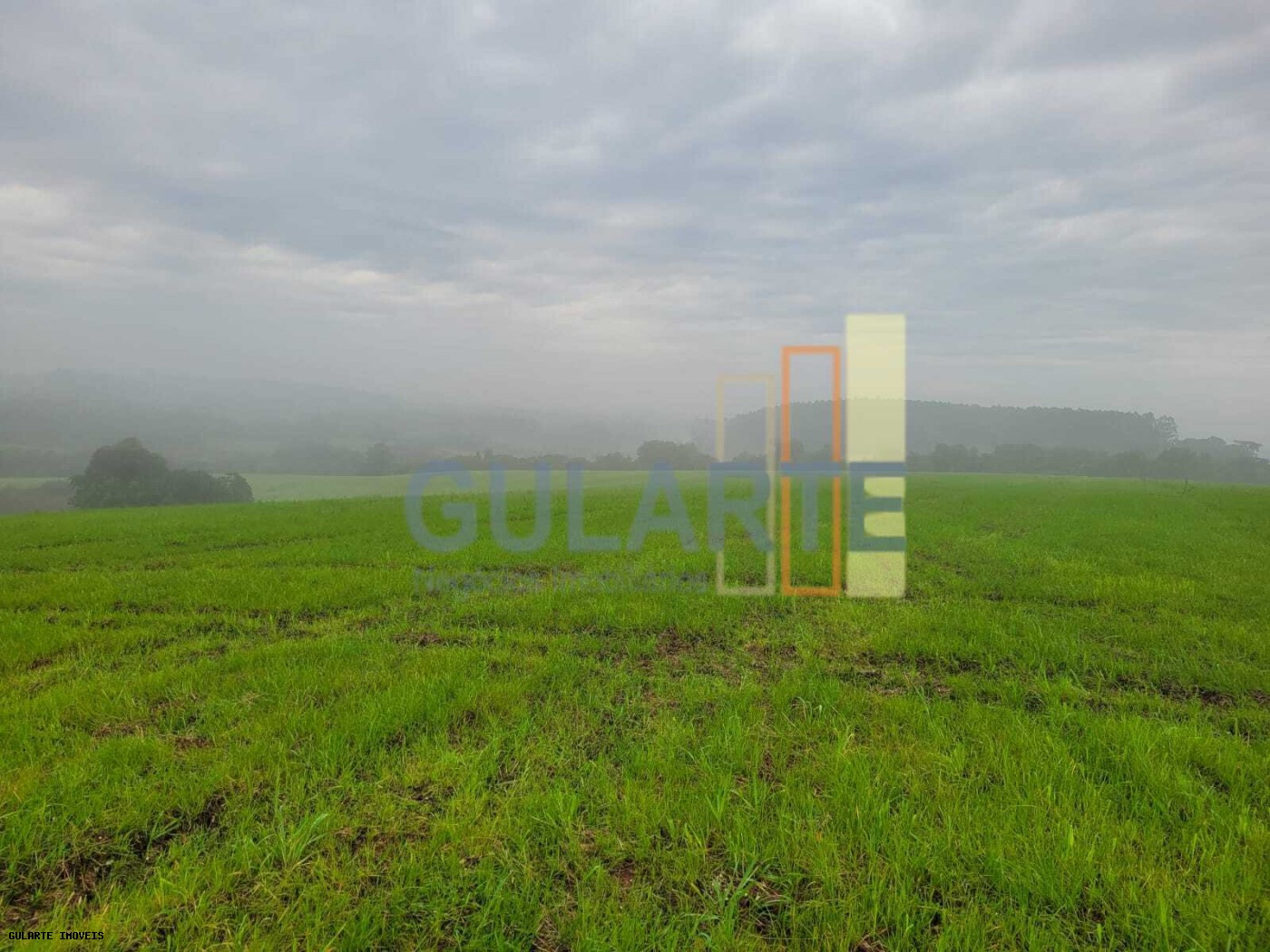 Fazenda, 392 hectares - Foto 10
