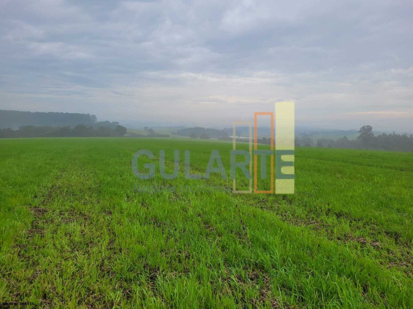 Fazenda, 392 hectares - Foto 8