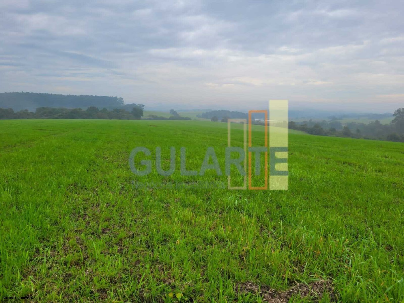 Fazenda, 392 hectares - Foto 9