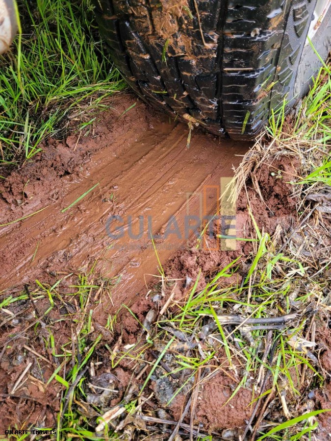 Fazenda, 392 hectares - Foto 15