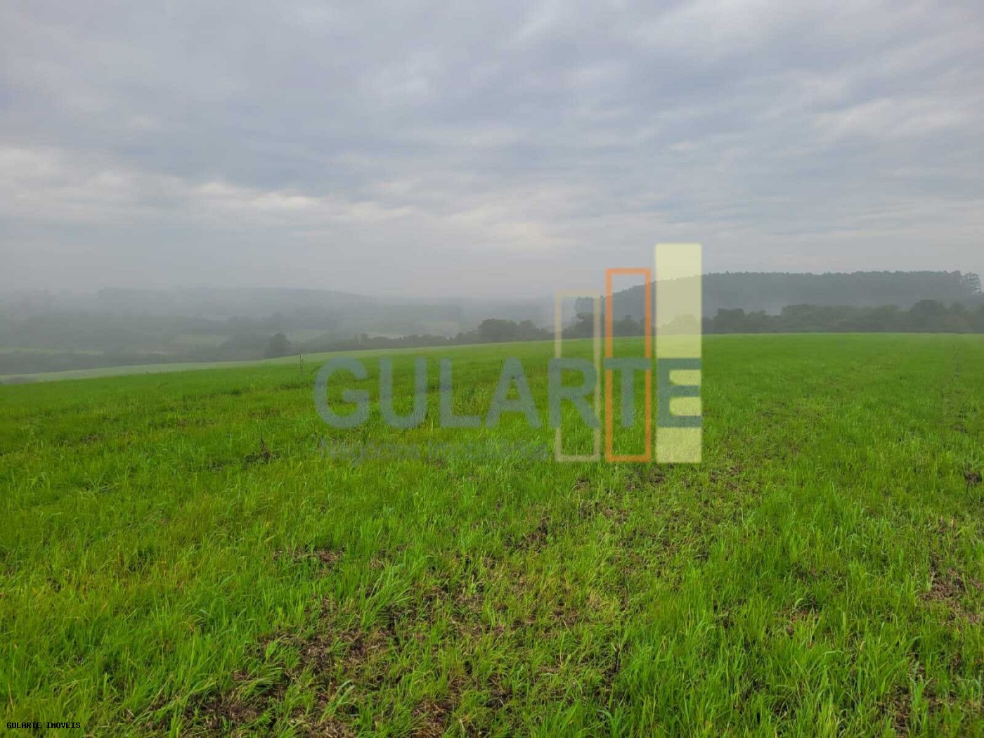 Fazenda, 392 hectares - Foto 13