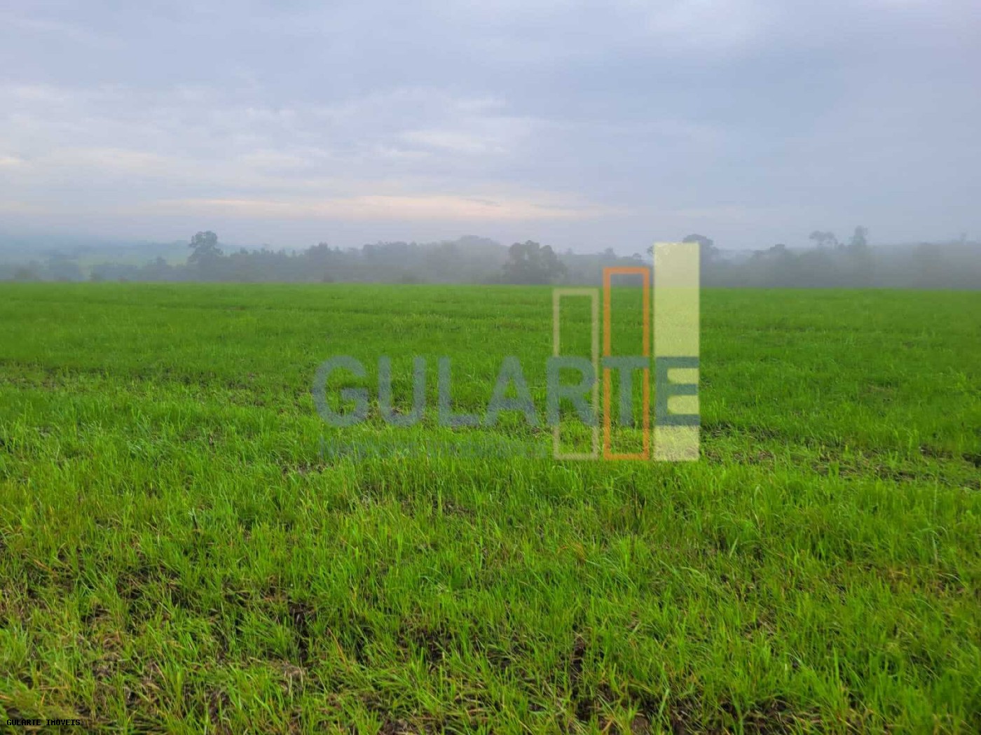 Fazenda, 392 hectares - Foto 12