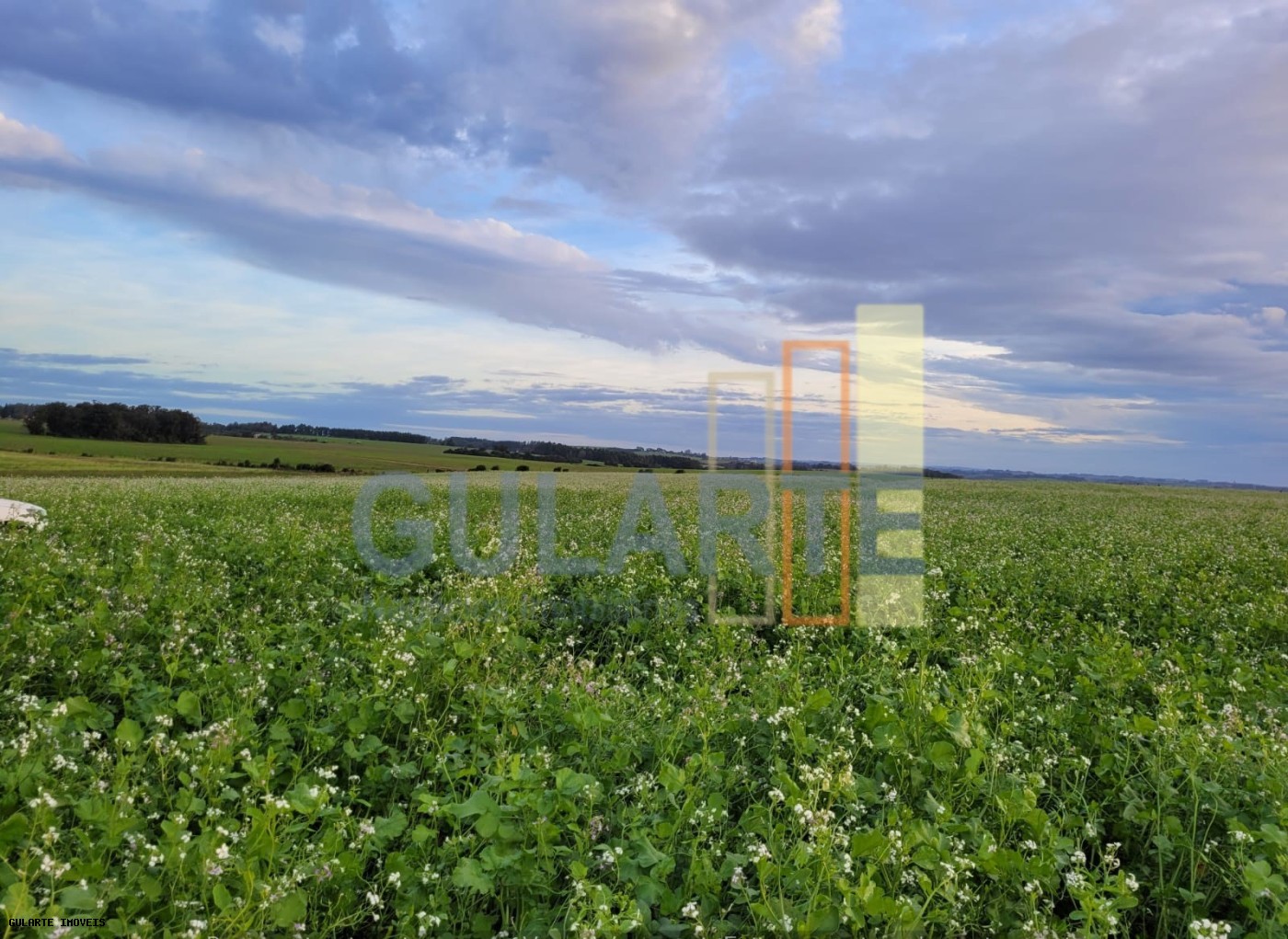 Fazenda, 259 hectares - Foto 4
