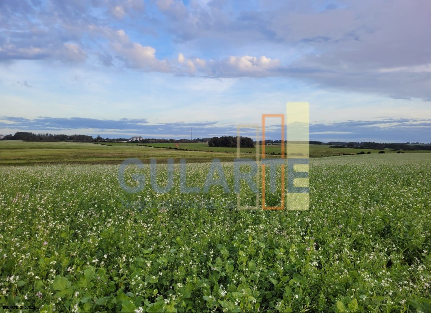 Fazenda, 259 hectares - Foto 3