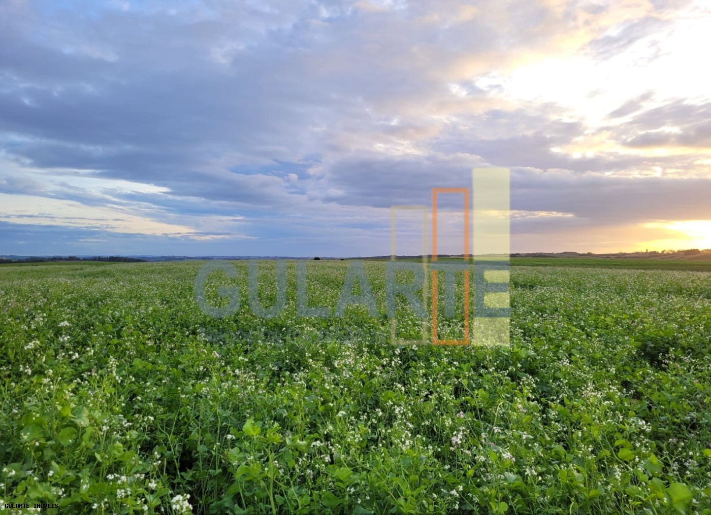 Fazenda, 259 hectares - Foto 6