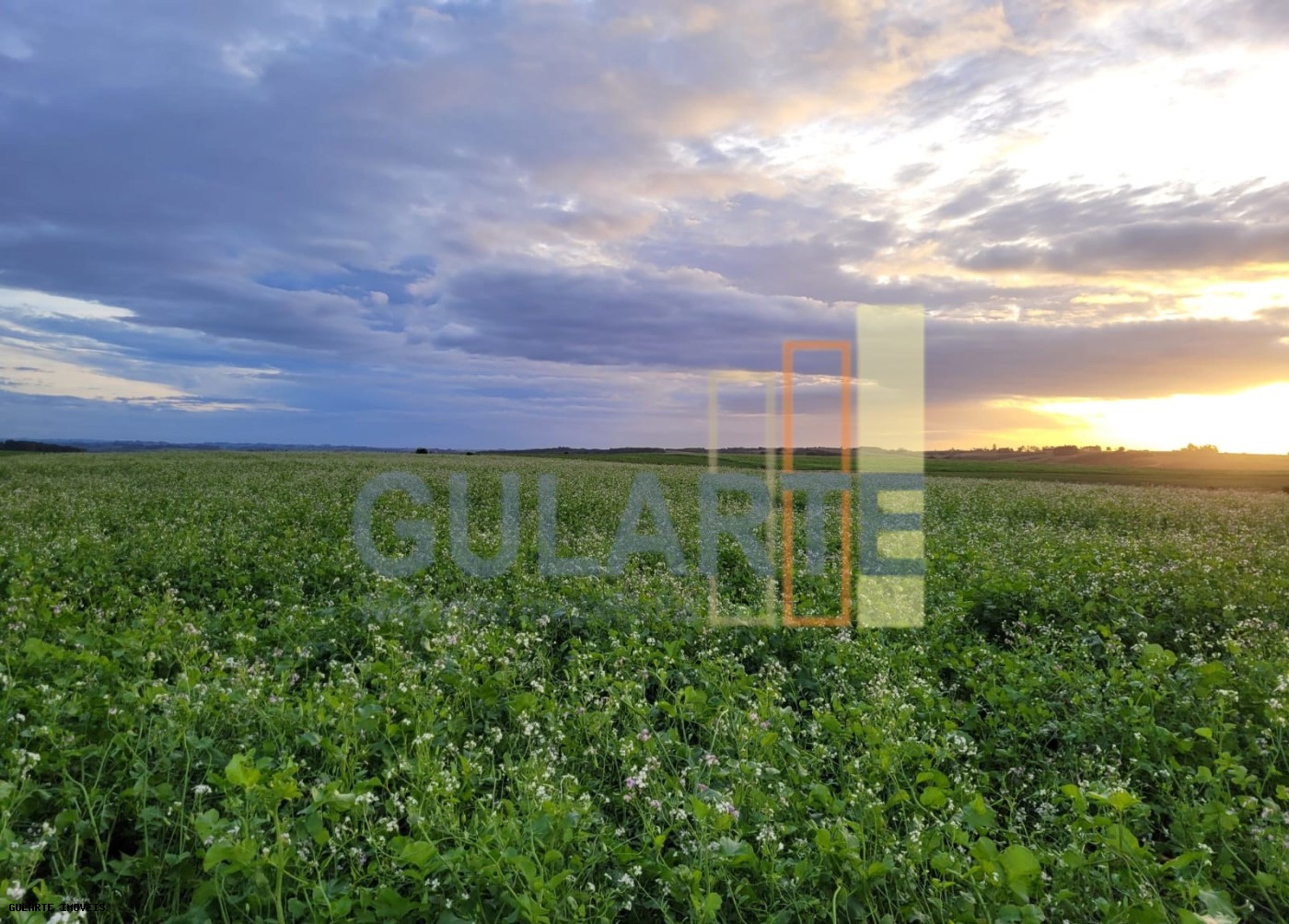 Fazenda, 259 hectares - Foto 7