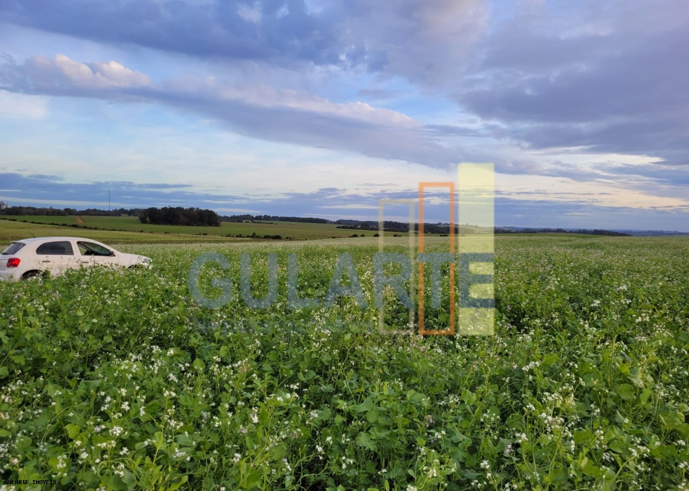 Fazenda, 259 hectares - Foto 8