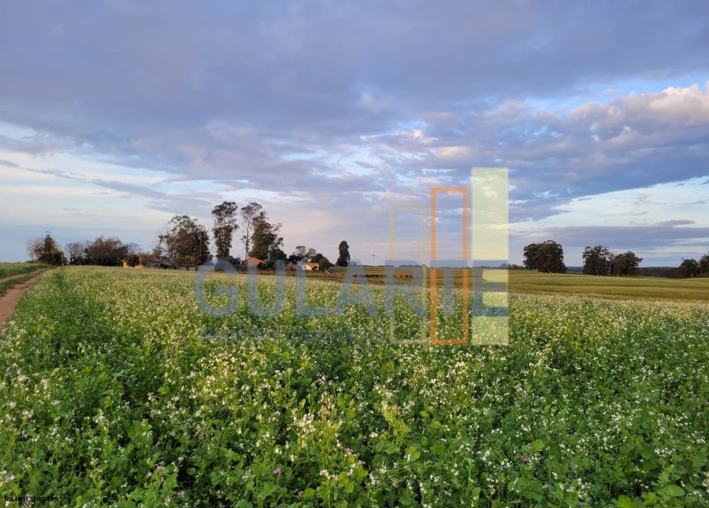 Fazenda, 259 hectares - Foto 10