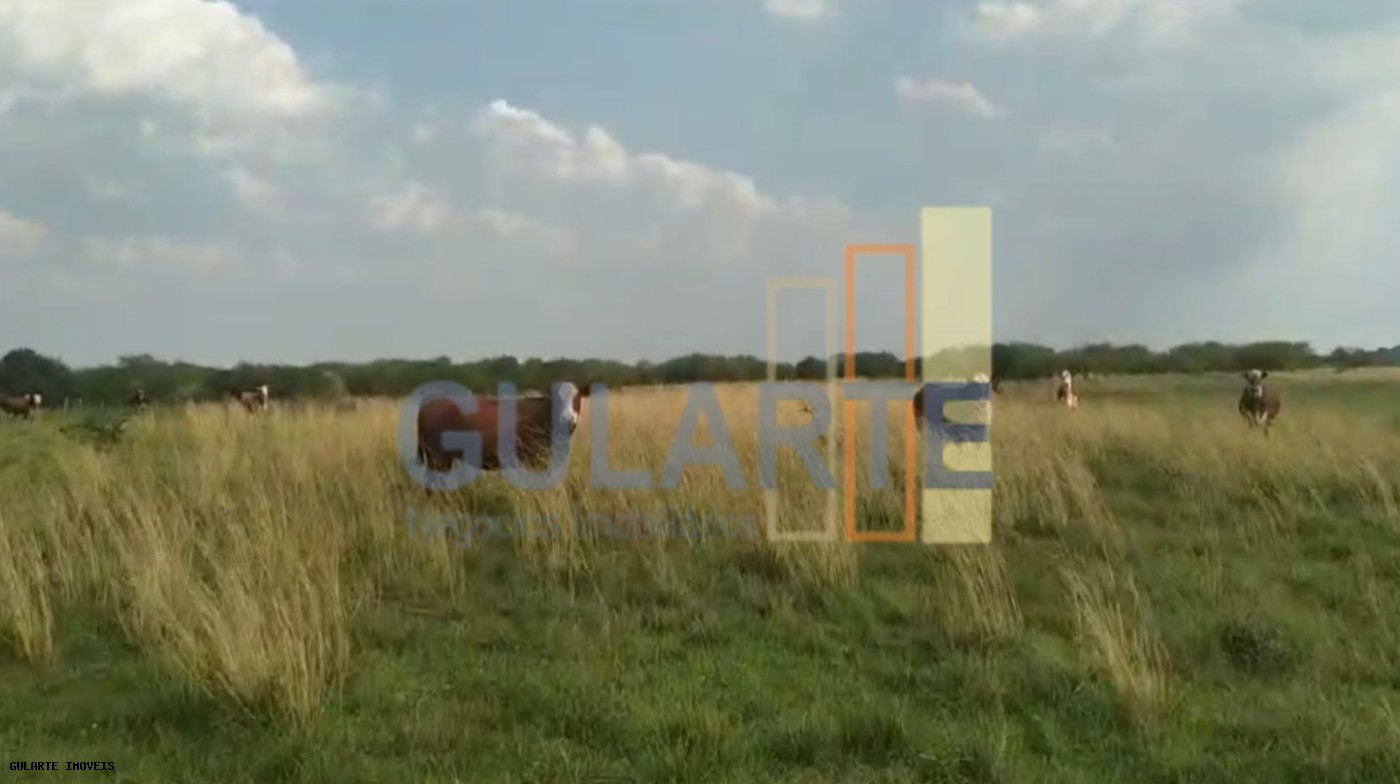 Fazenda, 153 hectares - Foto 1