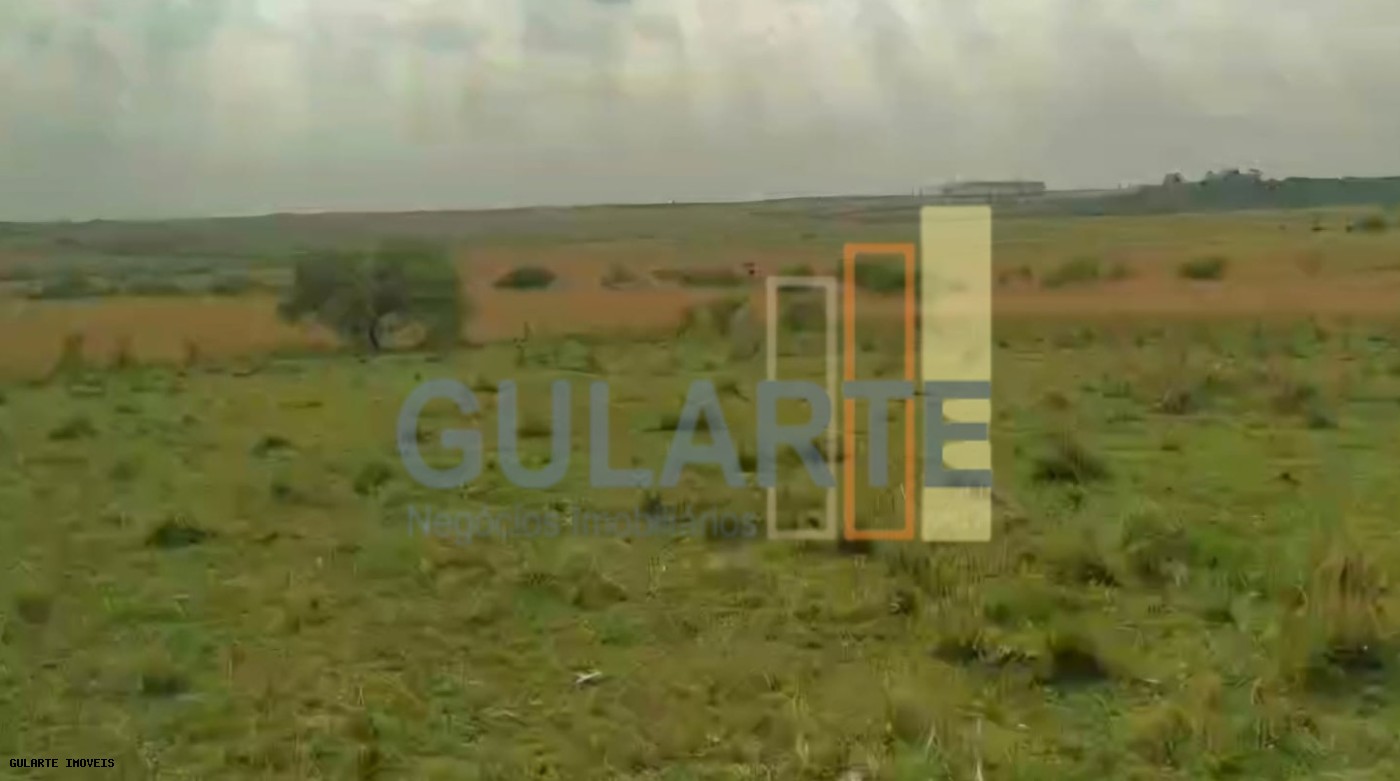 Fazenda, 153 hectares - Foto 6