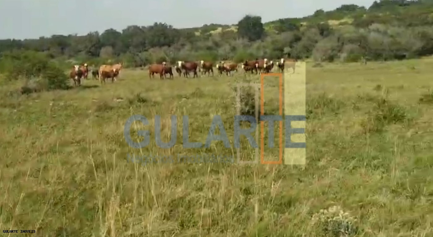 Fazenda, 153 hectares - Foto 3