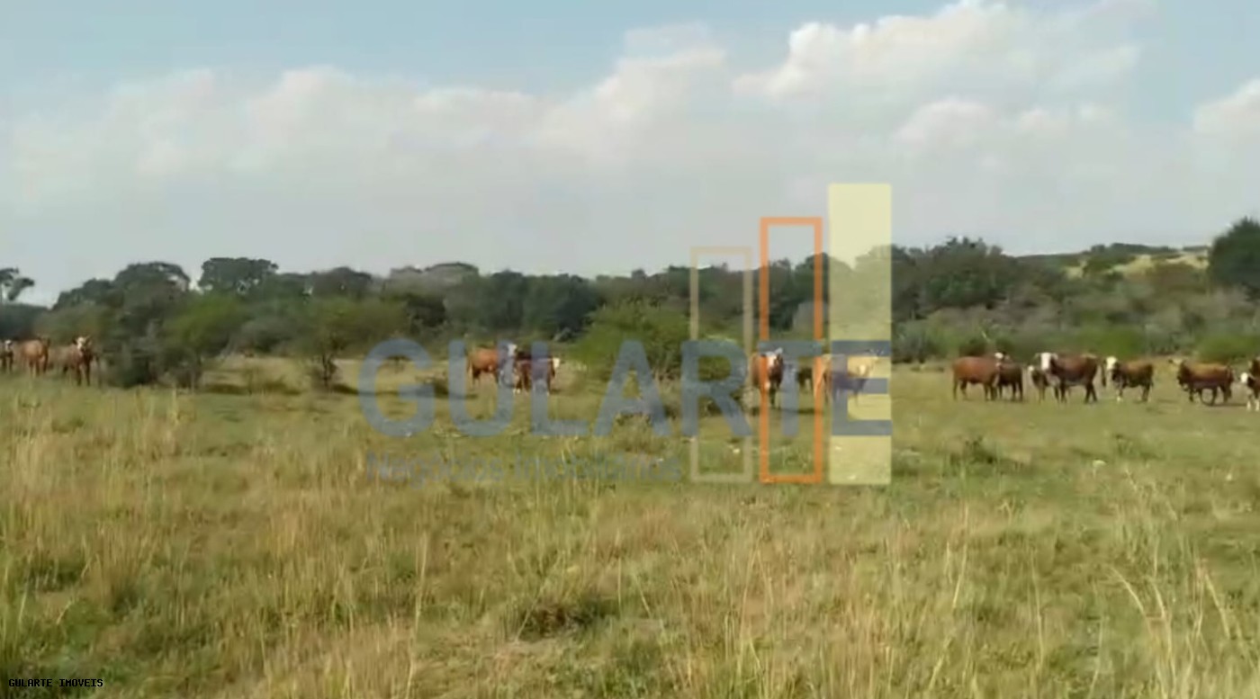 Fazenda, 153 hectares - Foto 4