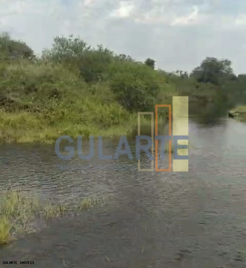 Fazenda, 153 hectares - Foto 8