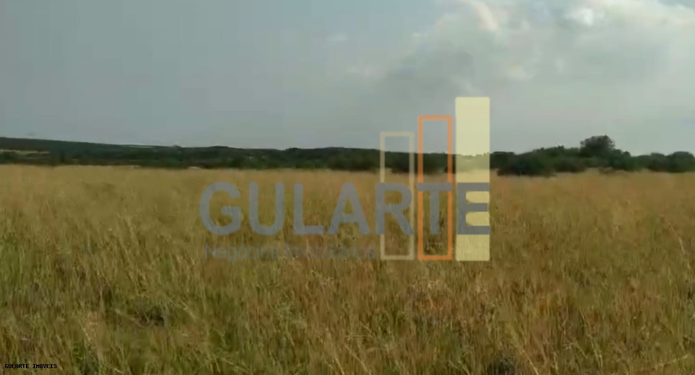 Fazenda, 153 hectares - Foto 7