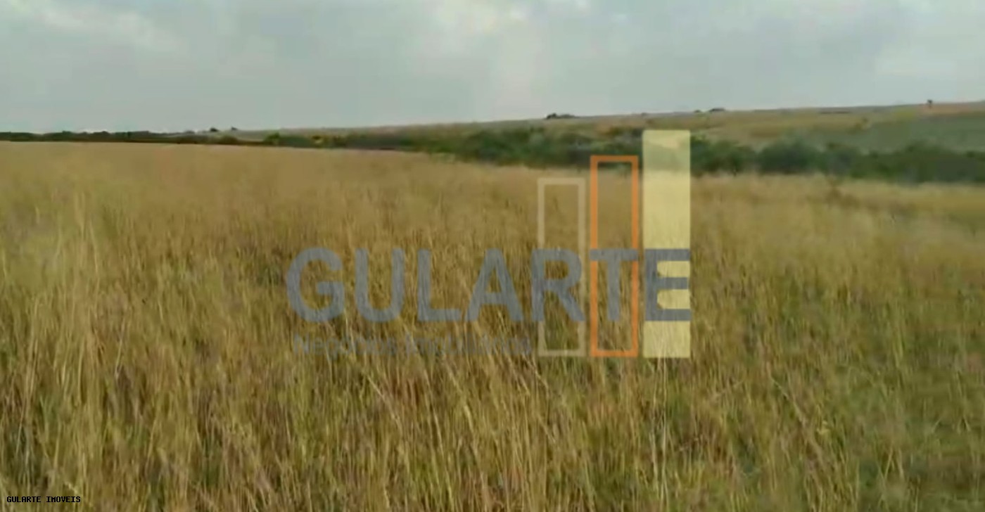 Fazenda, 153 hectares - Foto 9