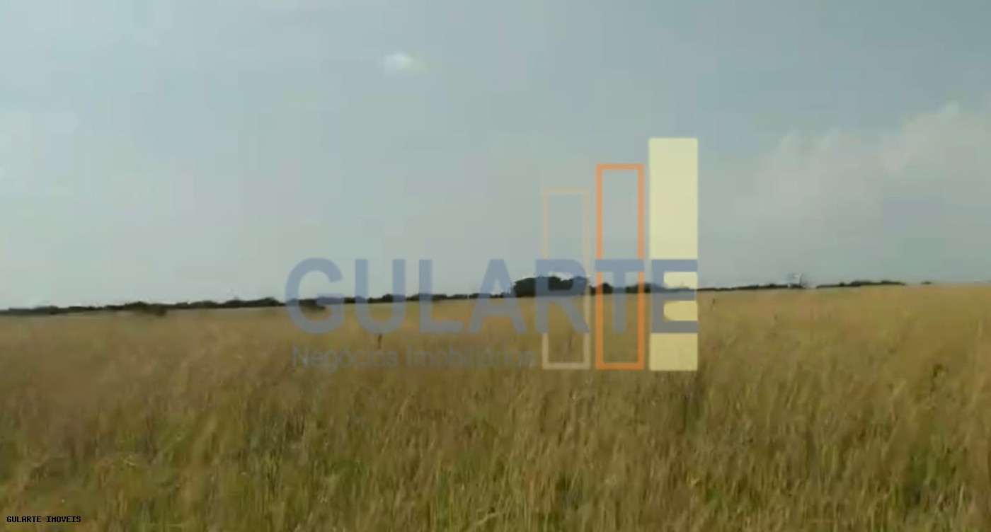 Fazenda, 153 hectares - Foto 10