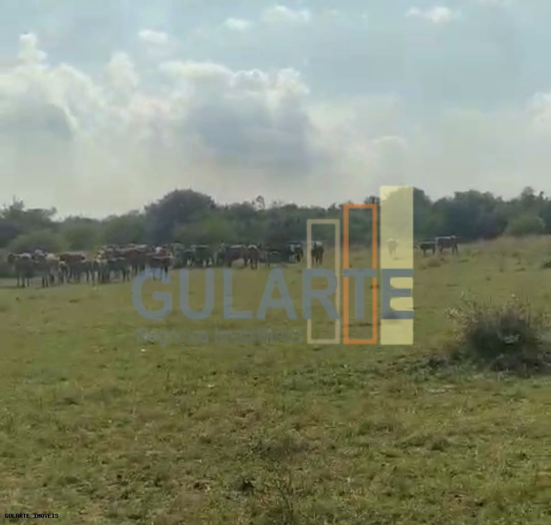 Fazenda, 153 hectares - Foto 13