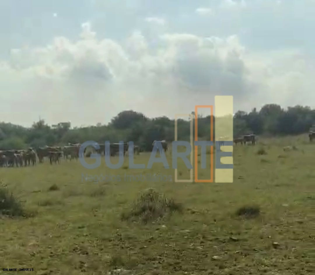 Fazenda, 153 hectares - Foto 12