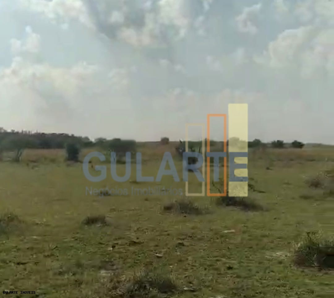 Fazenda, 153 hectares - Foto 14