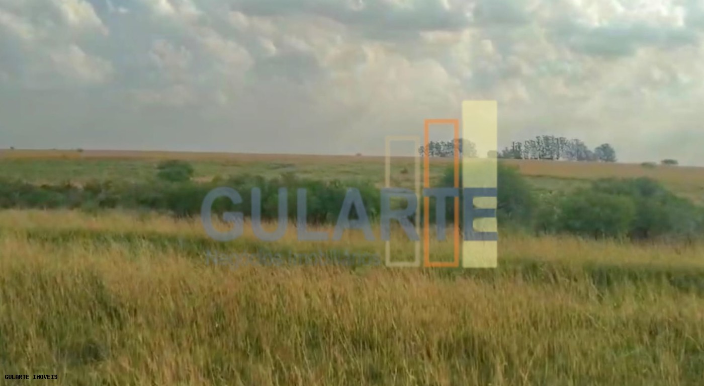 Fazenda, 153 hectares - Foto 11
