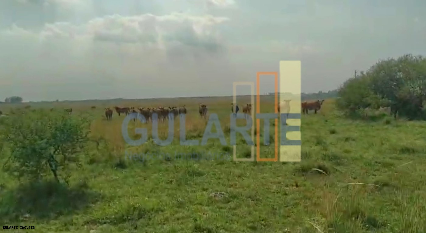 Fazenda, 153 hectares - Foto 17