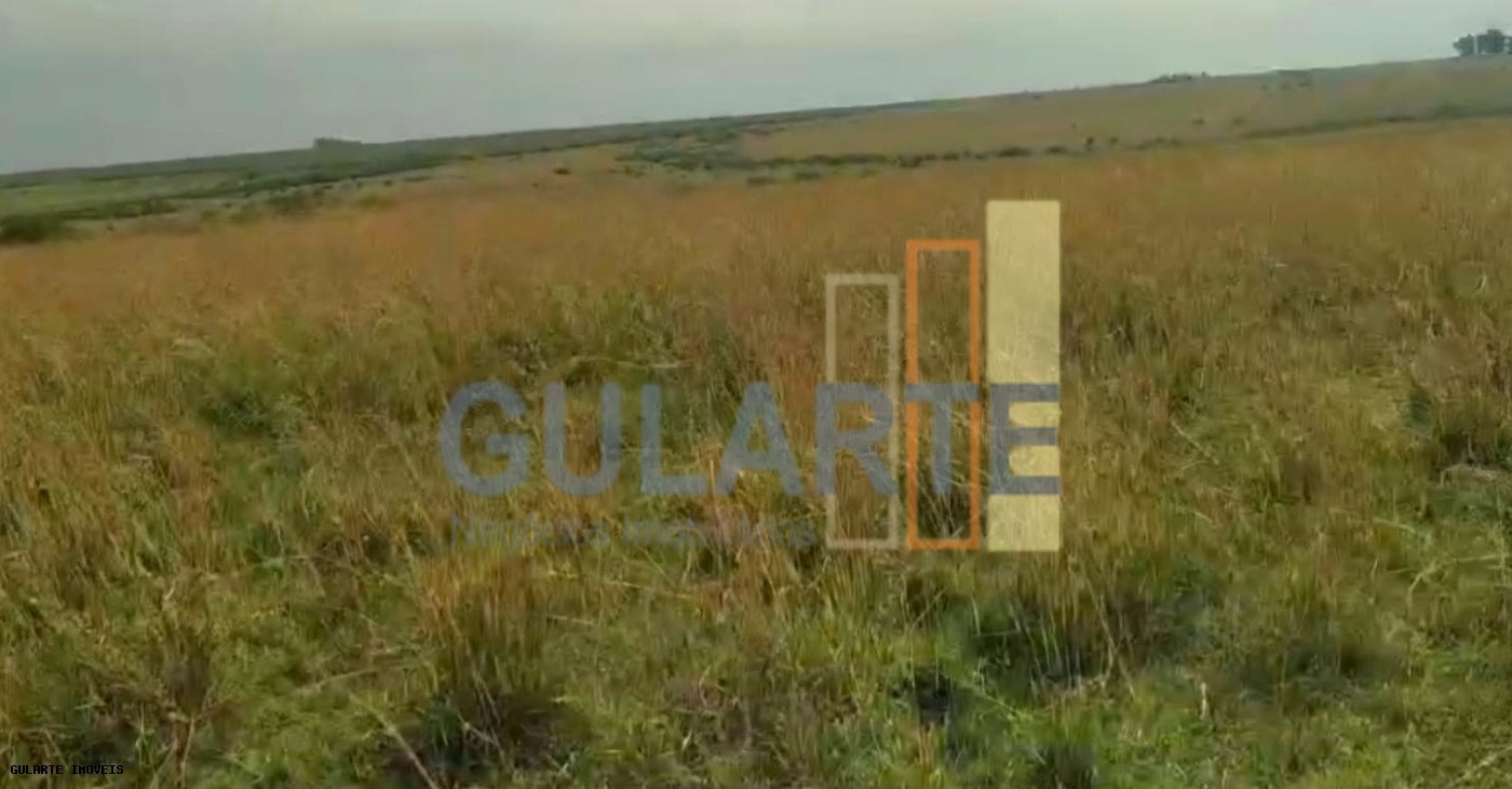Fazenda, 153 hectares - Foto 15