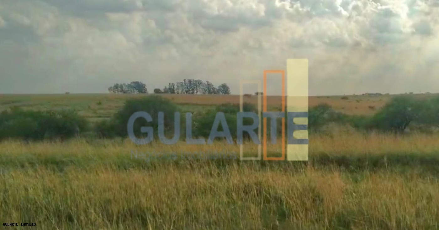 Fazenda, 153 hectares - Foto 16