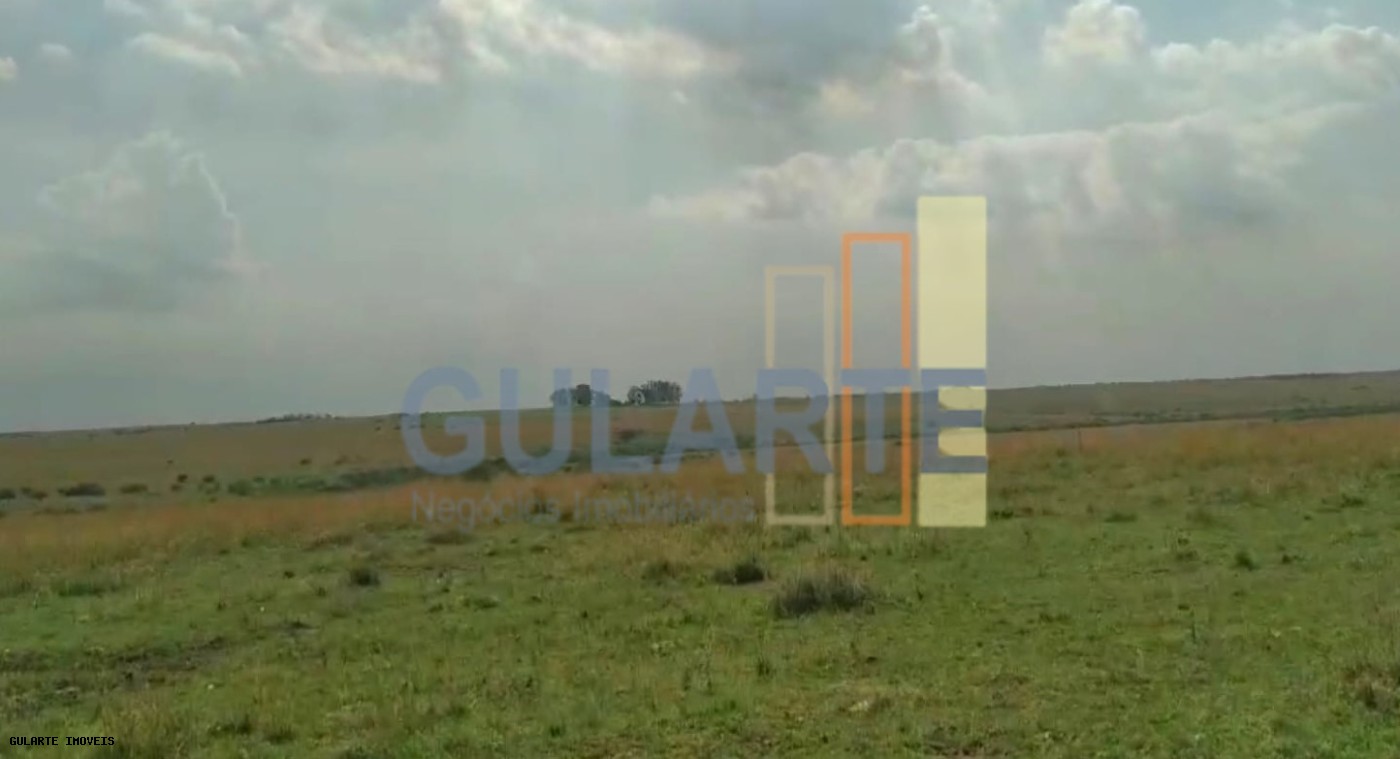 Fazenda, 153 hectares - Foto 18