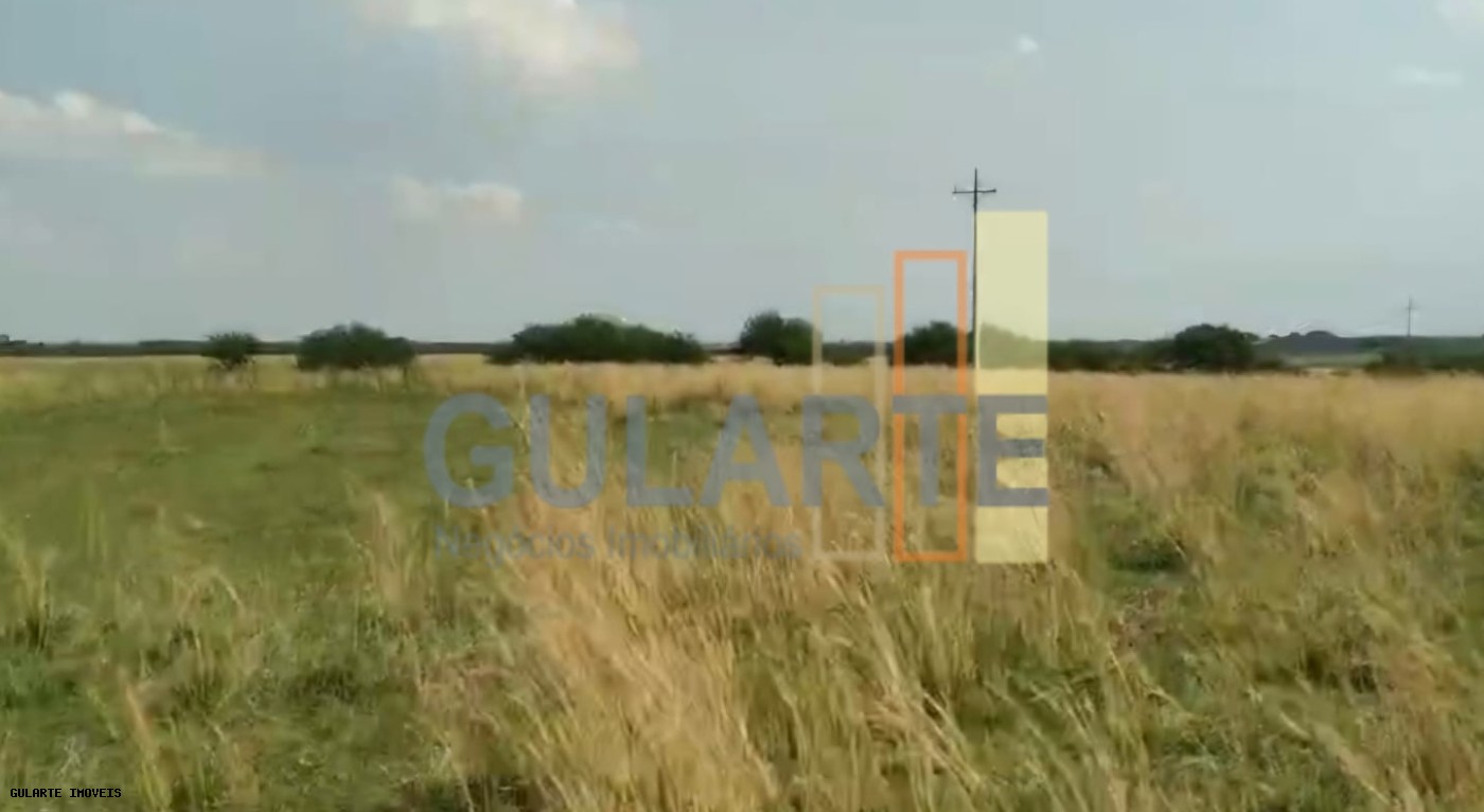 Fazenda, 153 hectares - Foto 20