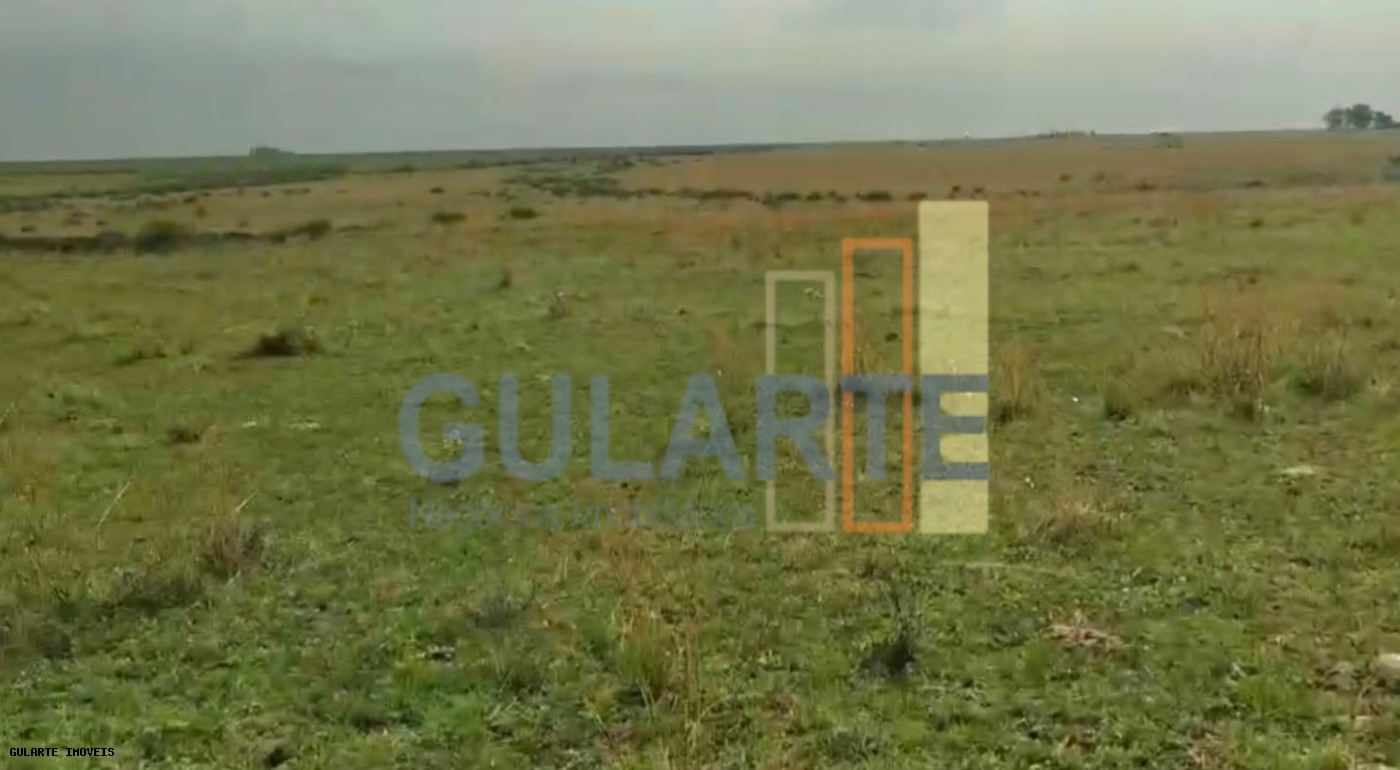 Fazenda, 153 hectares - Foto 19