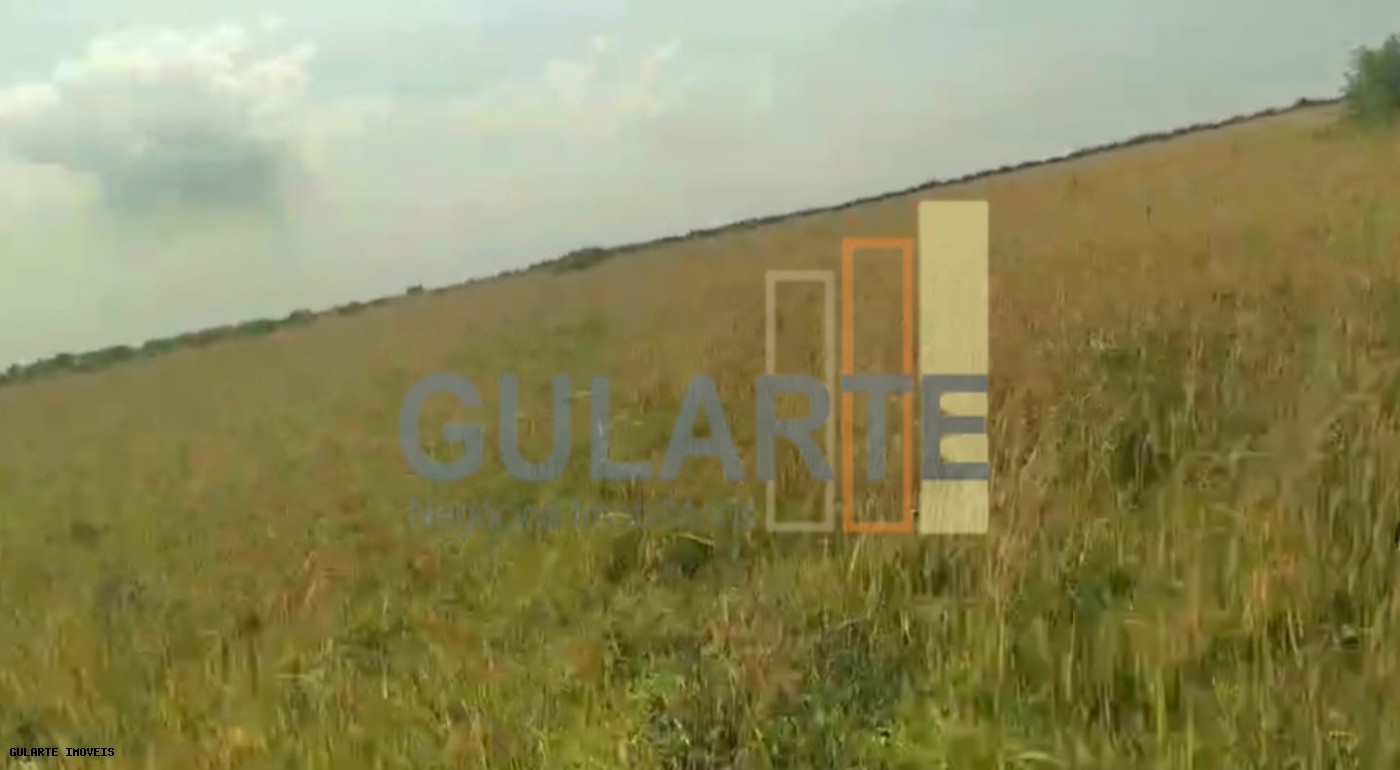 Fazenda, 153 hectares - Foto 23