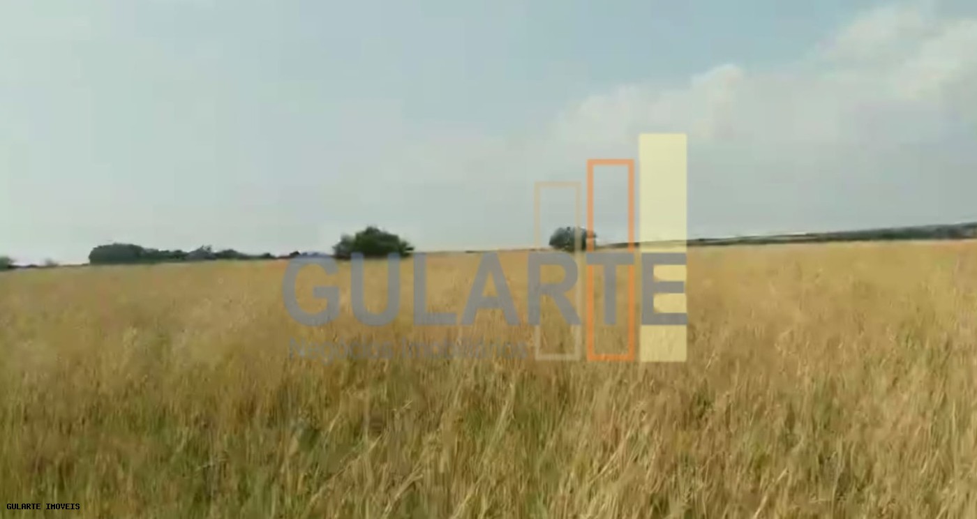 Fazenda, 153 hectares - Foto 24