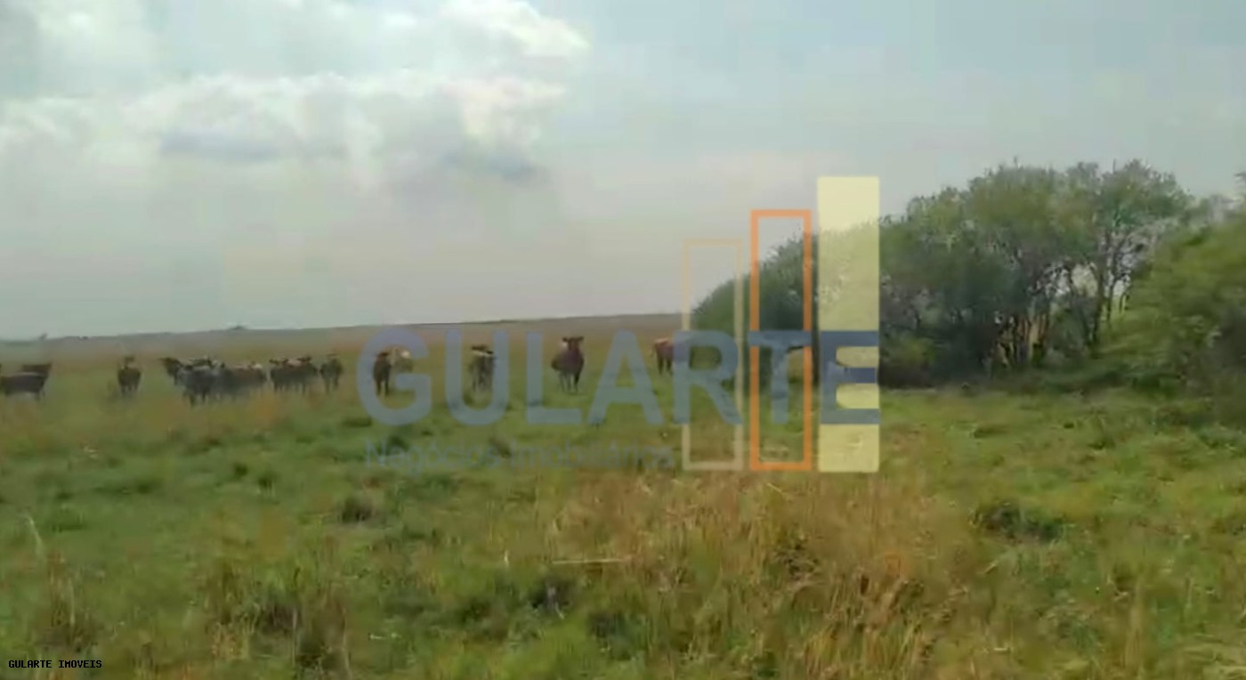 Fazenda, 153 hectares - Foto 21