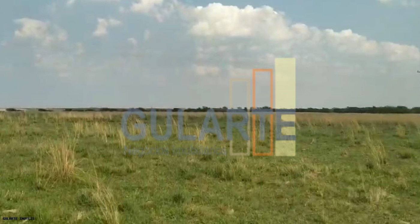 Fazenda, 153 hectares - Foto 27
