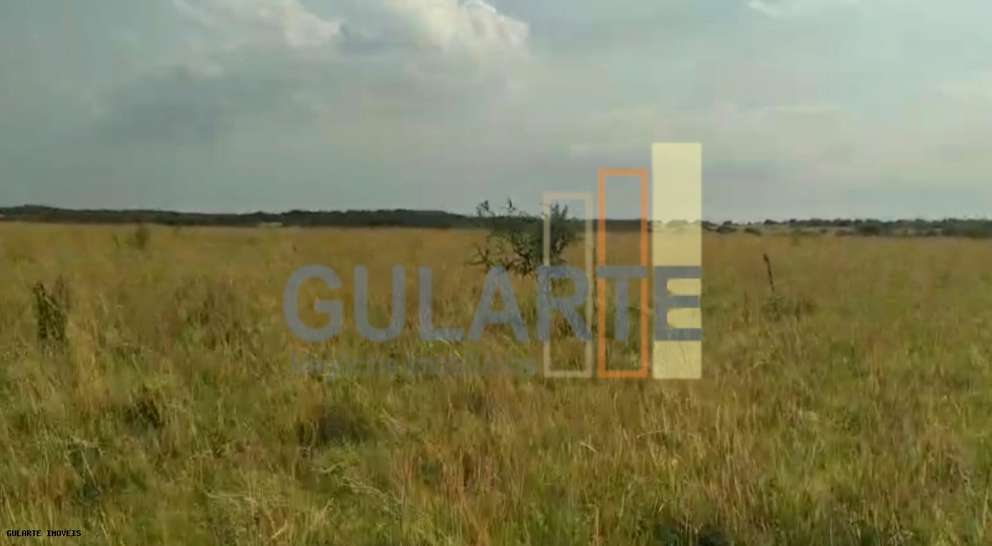 Fazenda, 153 hectares - Foto 25