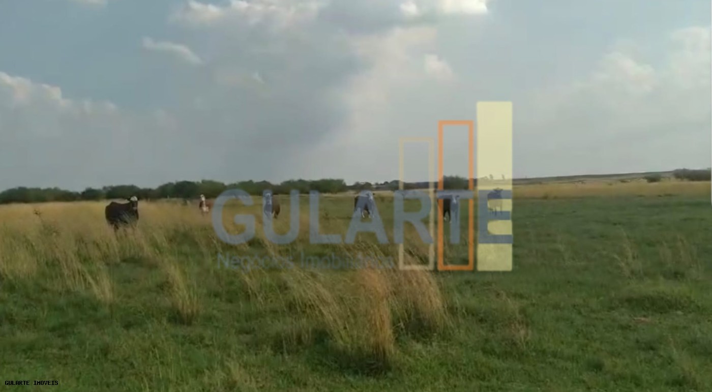 Fazenda, 153 hectares - Foto 28