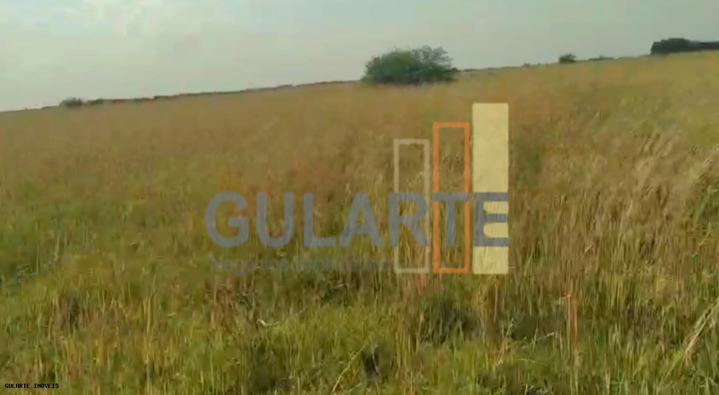 Fazenda, 153 hectares - Foto 30