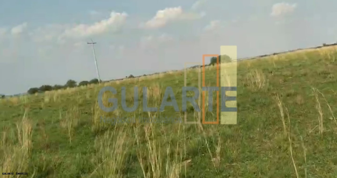 Fazenda, 153 hectares - Foto 29