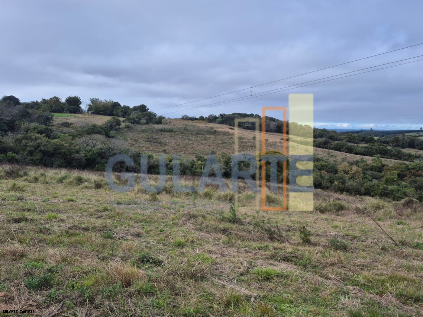 Terreno, 3 hectares - Foto 4