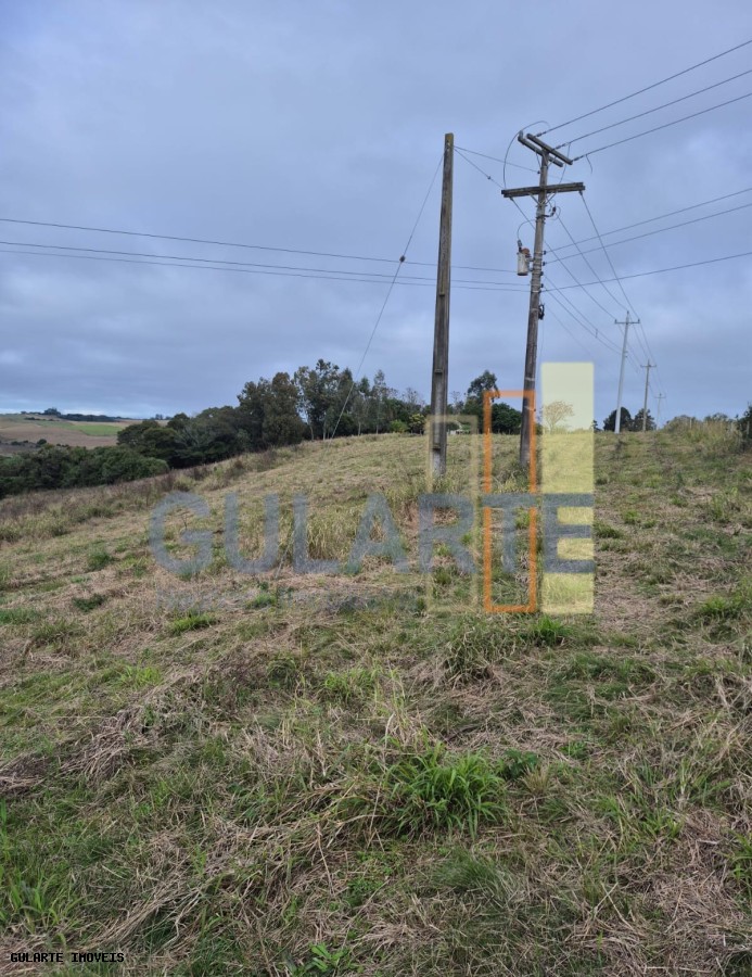 Terreno, 3 hectares - Foto 6